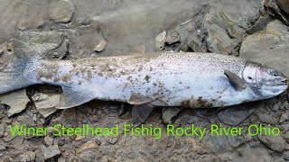 Rocky River fishing for steelhead 2/14/20