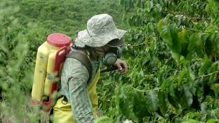 HEROES AL RESCATE ANIMAL - ABDÓN SALAZAR Y LAS ABEJAS VIDEO PROMOCIONAL 1