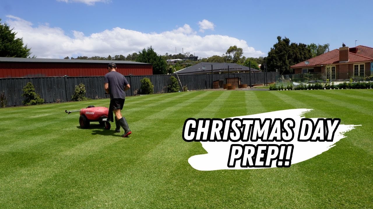 scarifying-and-fertilising-to-get-my-lawn-looking-elite-this-summer