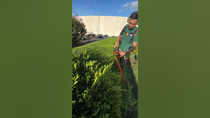 🌿 Avez-vous déjà essayé notre déflecteur pour taille-haie HELION 3 ?