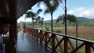 Aa Cobra Gamefarm Siniloan,Laguna