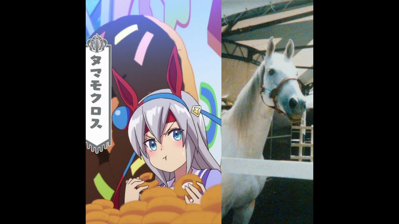 うまよん タマモクロスさん74話で単独サムネイル ウマ娘プリティーダービー Youtube