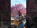 mikako - "Won't You Call My Name?"self cover One Take Performance #shorts
