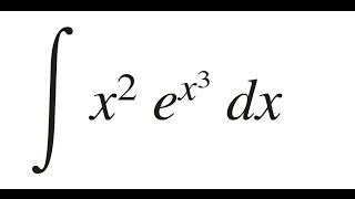 Integral indefinida con función exponencial | Ejercicio #1 screenshot 1