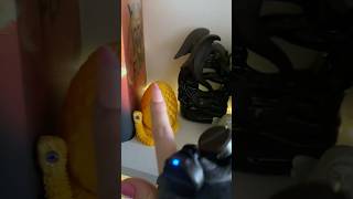 get tingles! Lofi fast asmr