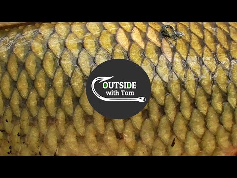 Misadventures in Spring