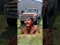 That Chevy’s seen some things
