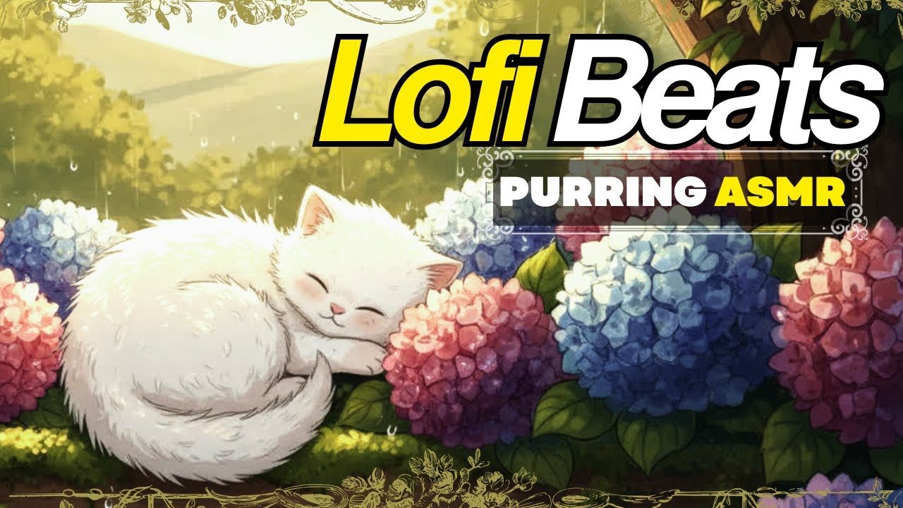 🐾 𝙏𝙚𝙖, 𝙋𝙪𝙧𝙧𝙨 𝙖𝙣𝙙 𝙌𝙪𝙞𝙚𝙩 𝙏𝙞𝙢𝙚 / 𝙎𝙩𝙪𝙙𝙮 𝙈𝙪𝙨𝙞𝙘 / 𝘾𝙖𝙡𝙢 𝙒𝙤𝙧𝙠 𝙑𝙞𝙗𝙚𝙨  ☁ 