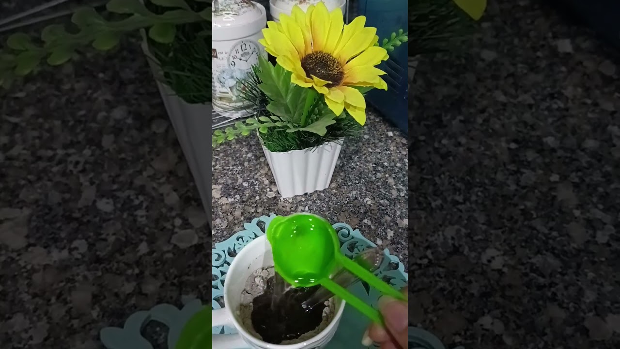 جمعه مباركه عليكم ي حبايبي 😍 تعالو نعمل حاجه حلو وسريعه وطعمها تحفه جدا 