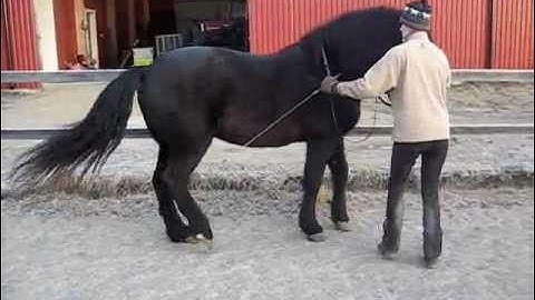 Work with the scool halt for 6 months