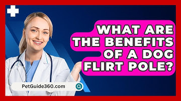 What Are The Benefits Of A Dog Flirt Pole? - PetGuide360.com
