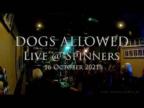 When A Blind Man Cries  Dogs Allowed (Deep Purple)