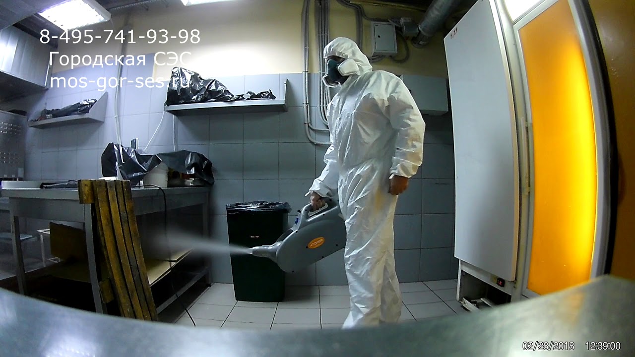 Тараканы в метро Тараканы в метро