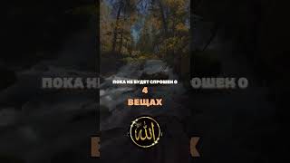 В судный день сын Aдама #аллах #ислам #религия #намаз #жизнь #islam #allah #muhammad