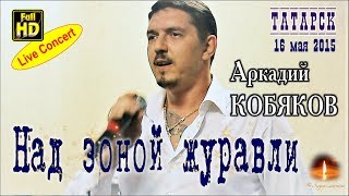 Live Concert/ Аркадий Кобяков - Над Зоной Журавли (Татарск, 16.05.2015)