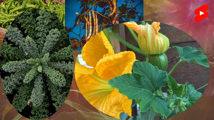 6 TOP Crops to Grow at Home TO Save You From STARVING