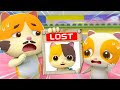 What to Do When We Get Lost +More | Meowmi Family Show Collection | Best Cartoon for Kids