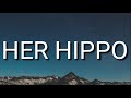 Dry Cleaning - Her Hippo (Lyrics)ft .