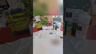 Blackberry Thornless Doyle Starter Bundle Plants Kit