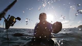 kayak fishing Soft Bait comp Coromandel NZ