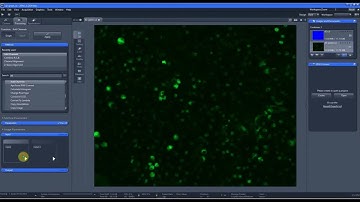 How to overlay the images from different channels using ZEN Lite #researchcenter #microscope