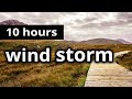 WIND SOUNDS: "A wind storm on the moors outside" - 10 HOURS - A windy autumn day - SLEEP SOUNDS