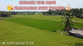 CINEMATIC VIDEO DRONE PEMANDANGAN SAWAH INDONESIA