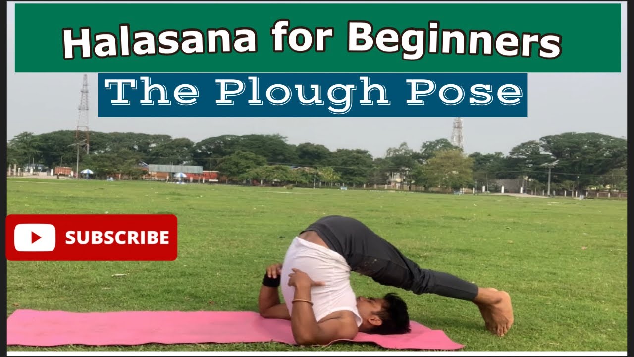 How to do Halasana plow Yoga Pose Steps Benefits Rudra De