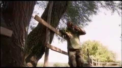 Thumbnail of Volkan Konak-Yarim Yarim (Mimoza-2009)