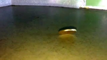 Coin slow motion with iPhone 6Pluse