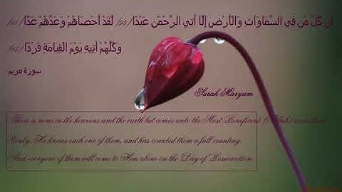 قرآن كريم قرأة هادئة جدا