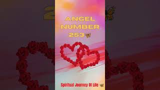 Celebrity Angel number 253😇| Spiritual journey of Life 🦋🥰 Profile