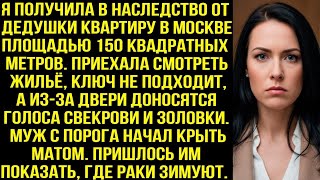 :    ,   ,  -     ..