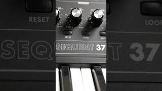 Moog Subsequent 37 – FX Sounds [SAMPLE PACK Demo] #shorts