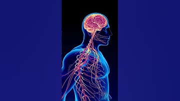 “Mamba Đen – Cơn Ác Mộng Nhanh Nhất & Chết Người Nhất Châu Phi” #độngvậtnguyhiểm