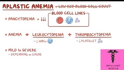 Aplastic Anemia|animated lecture|