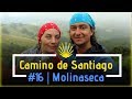 Поднялись до облаков | Camino de Santiago 2017 | День 16