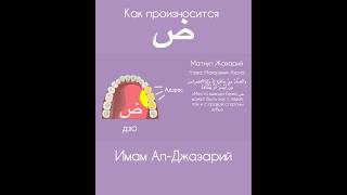🤔 Букву ض -  Как правильно произнести ? #ض #ислам #таджвид #джазарий #махраджи #буква #коран #знания