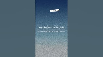#سورة_الزمر #اكسبلور #قران_كريم
