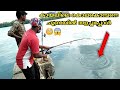 കായലിന്റെ അധിപനെ തീപാറും പോരാട്ടത്തിനൊടുവിൽ കീഴടക്കി😳😱|Kerala fishing|Fishing kerala|DEEPU BABU|