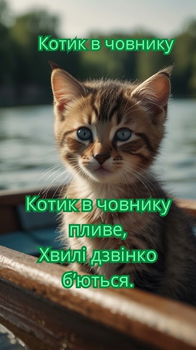 Котик в човнику пливе #киця #котик #коти #кіт #киць #кошенятко #кішечка ...
