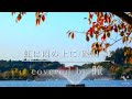 【虹は雨の上に/磯山純】covered by 瞳