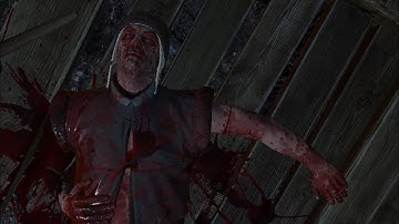 The Witcher 3: The Nilfgaardian connection