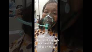 Rindu ibu