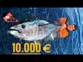 Fang den 10.000-Euro-Fisch – Thunfischangeln im Mittelmeer