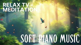 20-Minute Meditation And Relaxation Session Soft Piano Music With Birdsong Relaxtv Meditation