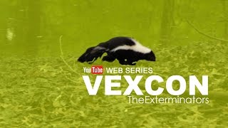 Vexcon The Exterminators - Web Series (Episode 4: Skunk)