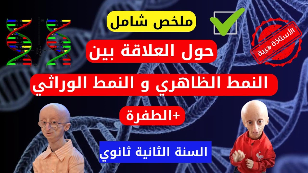 ملخص شامل حول العلاقة بين النمط الظاهري و النمط الوراثي | مراجعة للإختبار الفصل الثالث | 2 ثانوي