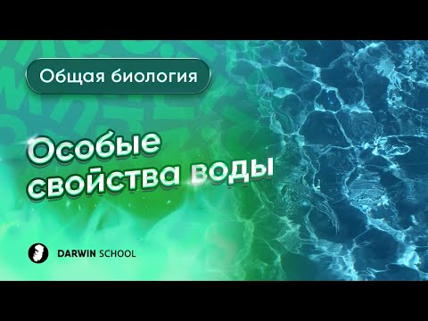 Видео: Почему структура воды делает ее хорошим растворителем?