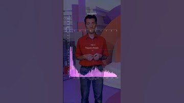 The Short Time Fourier Transform